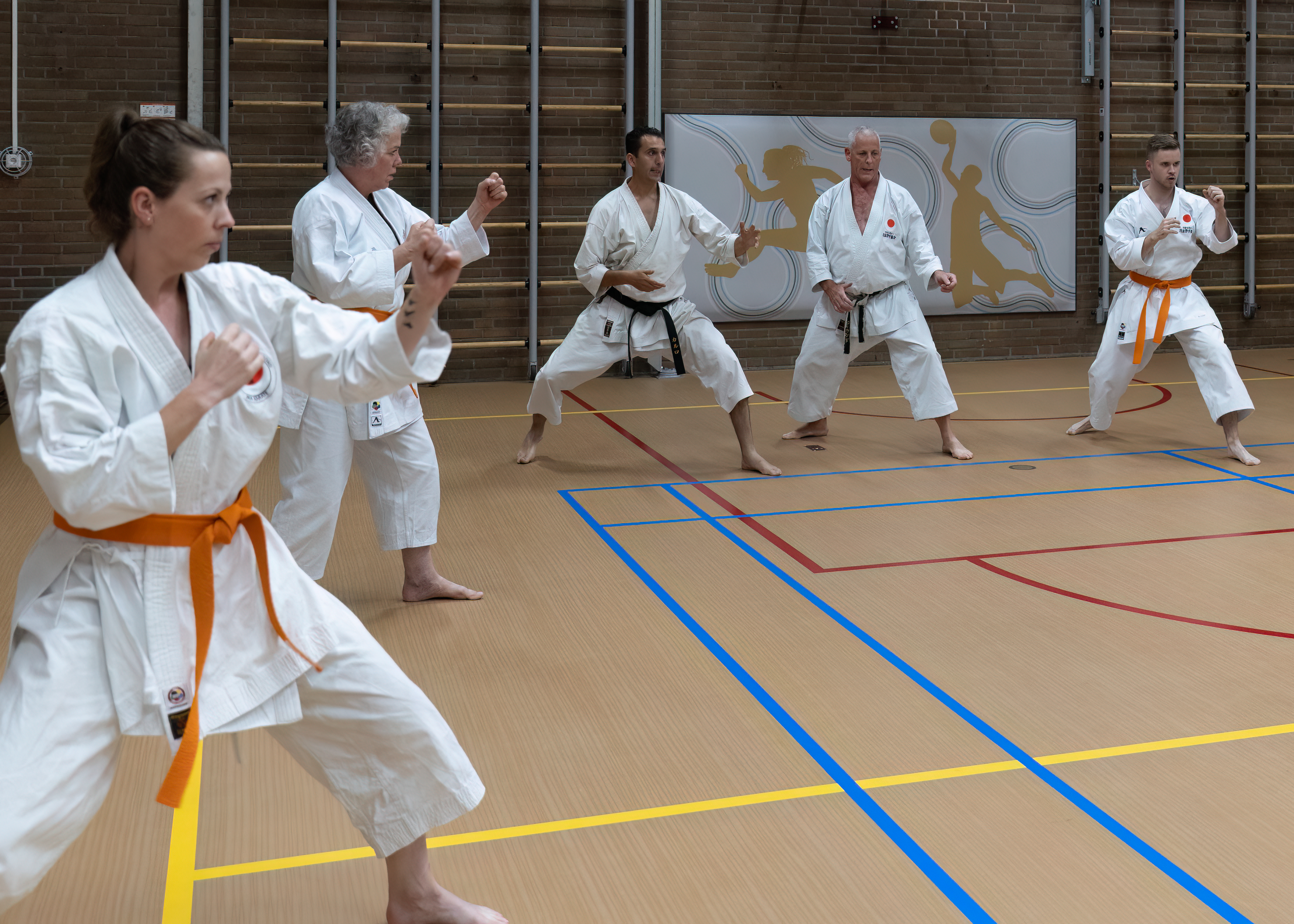 Dojo